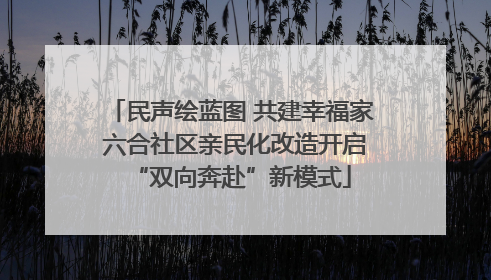 民声绘蓝图 共建幸福家 六合社区亲民化改造开启“双向奔赴”新模式