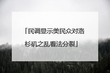 民调显示美民众对洛杉矶之乱看法分裂