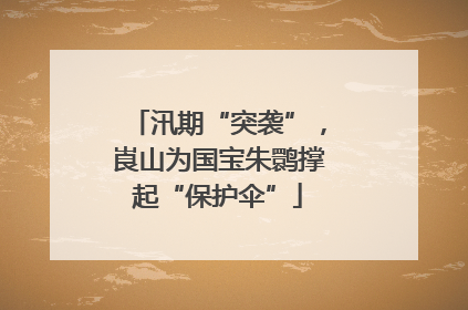 汛期“突袭”，崀山为国宝朱鹮撑起“保护伞”