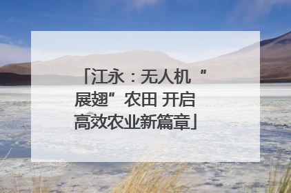 江永：无人机“展翅”农田 开启高效农业新篇章