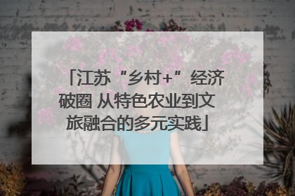 江苏“乡村+”经济破圈 从特色农业到文旅融合的多元实践