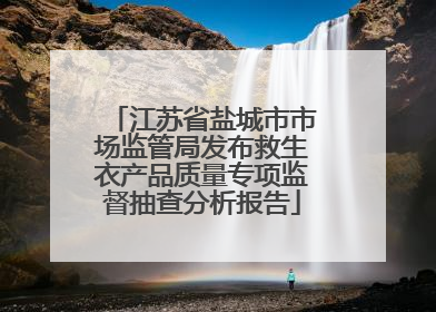 江苏省盐城市市场监管局发布救生衣产品质量专项监督抽查分析报告