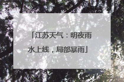 江苏天气：明夜雨水上线，局部暴雨