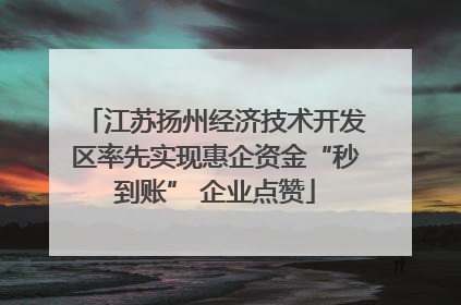 江苏扬州经济技术开发区率先实现惠企资金“秒到账” 企业点赞