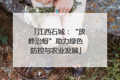 江西石城：“放蜂治蚜”助力绿色防控与农业发展