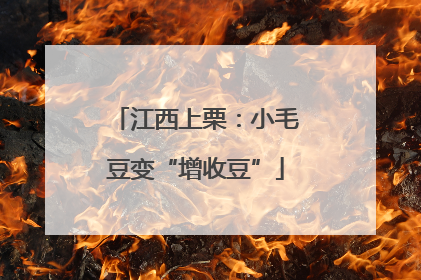 江西上栗：小毛豆变“增收豆”