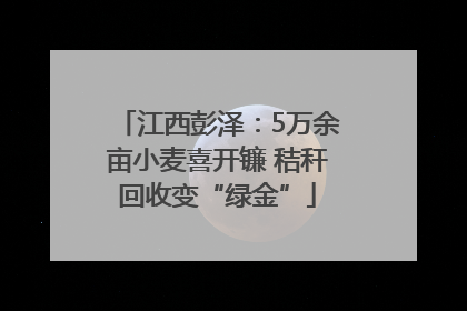 江西彭泽：5万余亩小麦喜开镰 秸秆回收变“绿金”