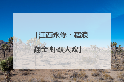 江西永修：稻浪翻金 虾跃人欢