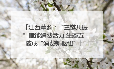 江西萍乡：“三链共振”赋能消费活力 生态五陂成“消费新枢纽”