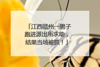 江西赣州一男子跑进派出所求助，结果当场被抓！