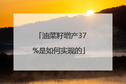 油菜籽增产37%是如何实现的