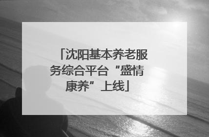 沈阳基本养老服务综合平台“盛情康养”上线