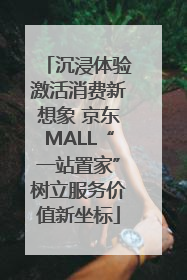 沉浸体验激活消费新想象 京东MALL“一站置家”树立服务价值新坐标