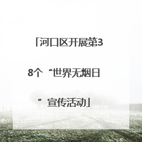 河口区开展第38个“世界无烟日”宣传活动