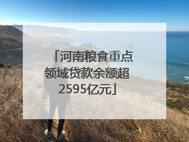 河南粮食重点领域贷款余额超2595亿元