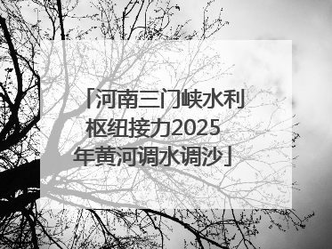 河南三门峡水利枢纽接力2025年黄河调水调沙