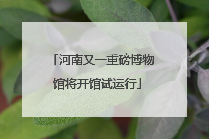 河南又一重磅博物馆将开馆试运行