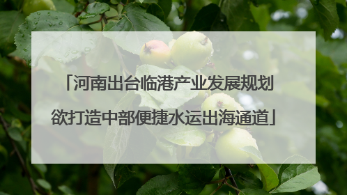 河南出台临港产业发展规划 欲打造中部便捷水运出海通道