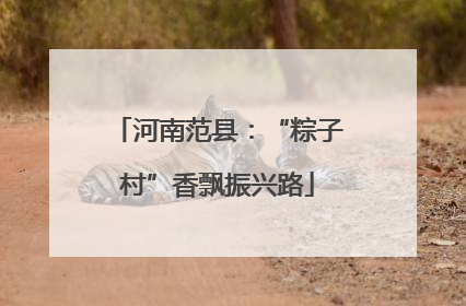河南范县：“粽子村”香飘振兴路