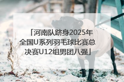 河南队跻身2025年全国U系列羽毛球比赛总决赛U12组男团八强
