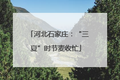 河北石家庄：“三夏”时节麦收忙