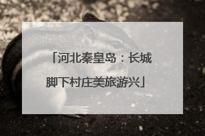 河北秦皇岛：长城脚下村庄美旅游兴