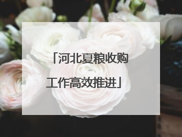 河北夏粮收购工作高效推进