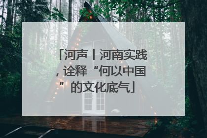 河声丨河南实践，诠释“何以中国”的文化底气