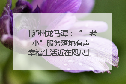 泸州龙马潭：“一老一小”服务落地有声 幸福生活近在咫尺