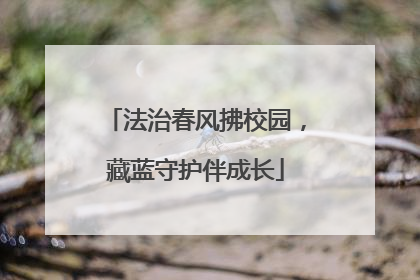 法治春风拂校园，藏蓝守护伴成长