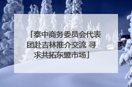 泰中商务委员会代表团赴吉林推介交流 寻求共拓东盟市场