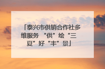 泰兴市供销合作社多维服务 “供”绘“三夏”好“丰”景