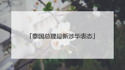 泰国总理最新涉华表态