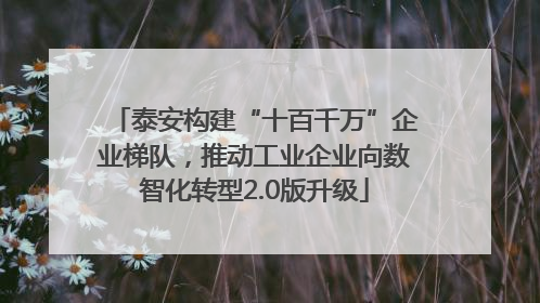 泰安构建“十百千万”企业梯队，推动工业企业向数智化转型2.0版升级