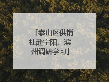 泰山区供销社赴宁阳、滨州调研学习
