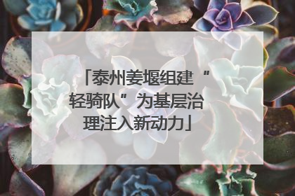 泰州姜堰组建“轻骑队”为基层治理注入新动力