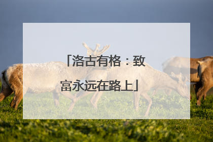 洛古有格：致富永远在路上