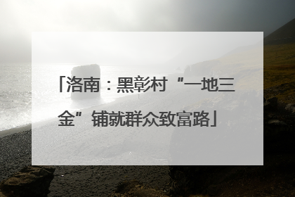洛南：黑彰村“一地三金”铺就群众致富路