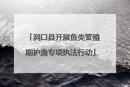 洞口县开展鱼类繁殖期护渔专项执法行动