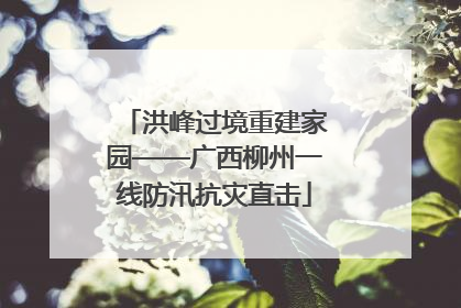 洪峰过境重建家园——广西柳州一线防汛抗灾直击