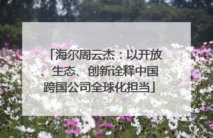 海尔周云杰：以开放、生态、创新诠释中国跨国公司全球化担当