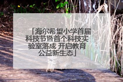 海尔希望小学首届科技节暨首个科技实验室落成 开启教育公益新生态