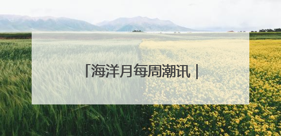 海洋月每周潮讯｜社群联动，多元场景共绘蔚蓝新章