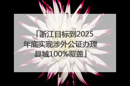 浙江目标到2025年底实现涉外公证办理县域100%覆盖