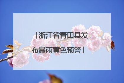 浙江省青田县发布暴雨黄色预警
