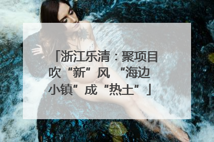 浙江乐清：聚项目吹“新”风 “海边小镇”成“热土”