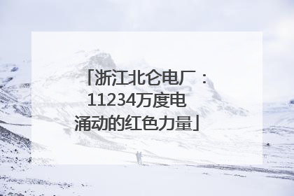 浙江北仑电厂：11234万度电涌动的红色力量