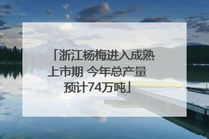 浙江杨梅进入成熟上市期 今年总产量预计74万吨