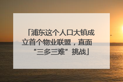 浦东这个人口大镇成立首个物业联盟，直面“三多三难”挑战