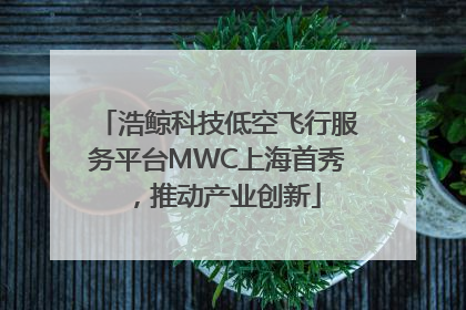 浩鲸科技低空飞行服务平台MWC上海首秀，推动产业创新